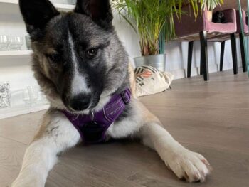 Kaia-AVAILABLE in UK Hackney East London
